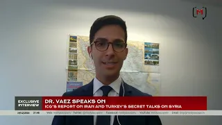 Dr. Ali Vaez