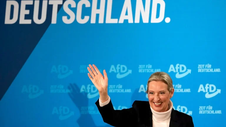 Almanya'yı tedirgin eden aşırı sağcı AfD hakkında her şey