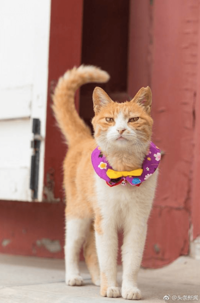 Ekran Resmi 2018-06-27 11.55.29