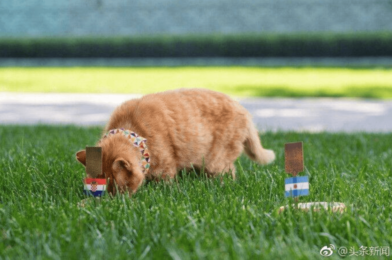 Ekran Resmi 2018-06-27 11.55.46