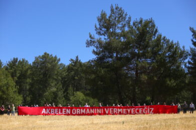 Akbelen ormanı