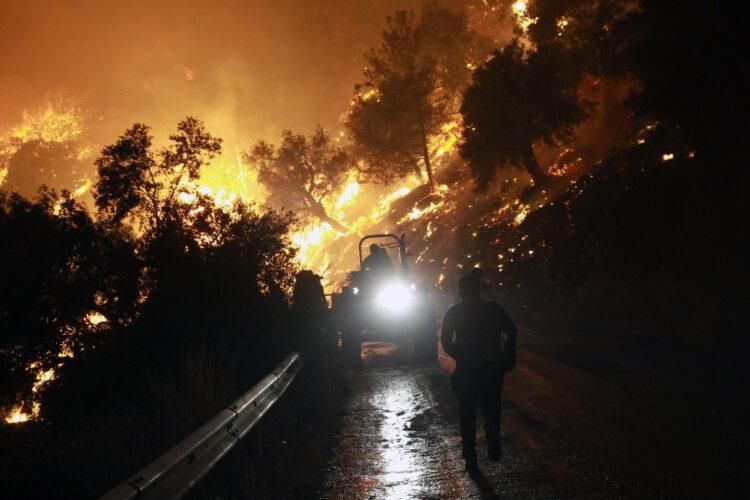 Fotoğraflarla Milas yangını
