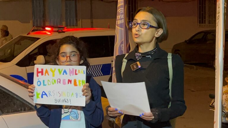 Ankara’nın Bayraktar mahallesinde bulunan Maçka sokakta bir binanın alt katında iki yavru kedinin cesedinin bulunmasının ardından mahalle sakinleri arasında tedirginlik başladı