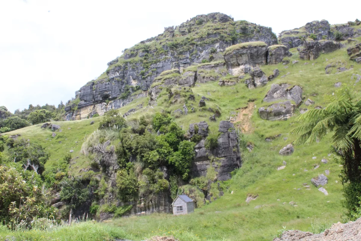 Yeni Zelanda'nın Waikato bölgesi