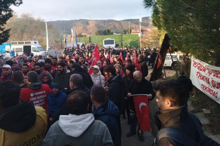 Polonez işçileri