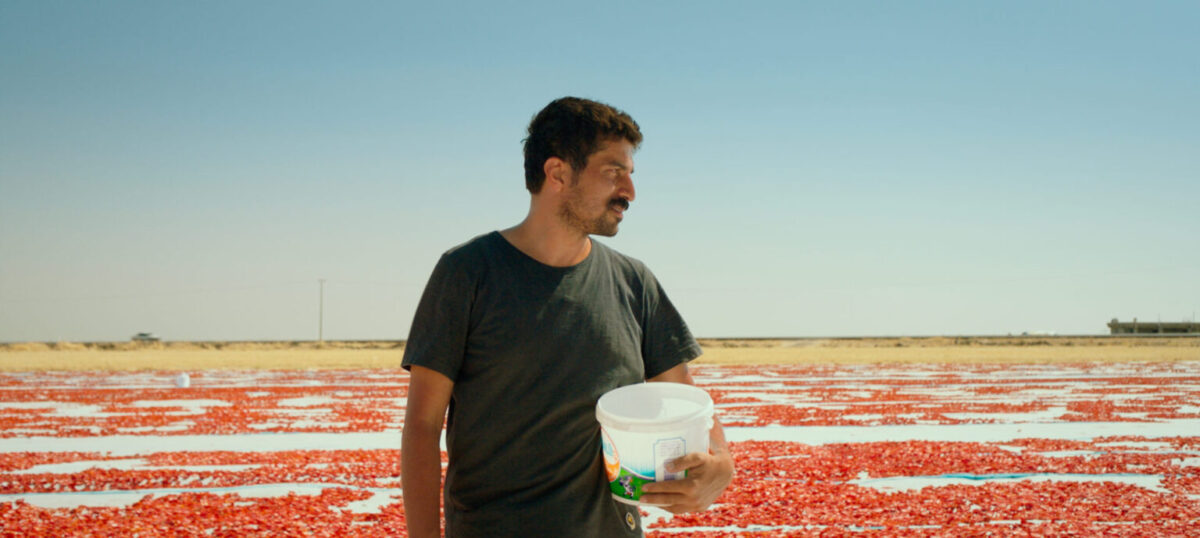 Hemme’nin Öldüğü Günlerden Biri