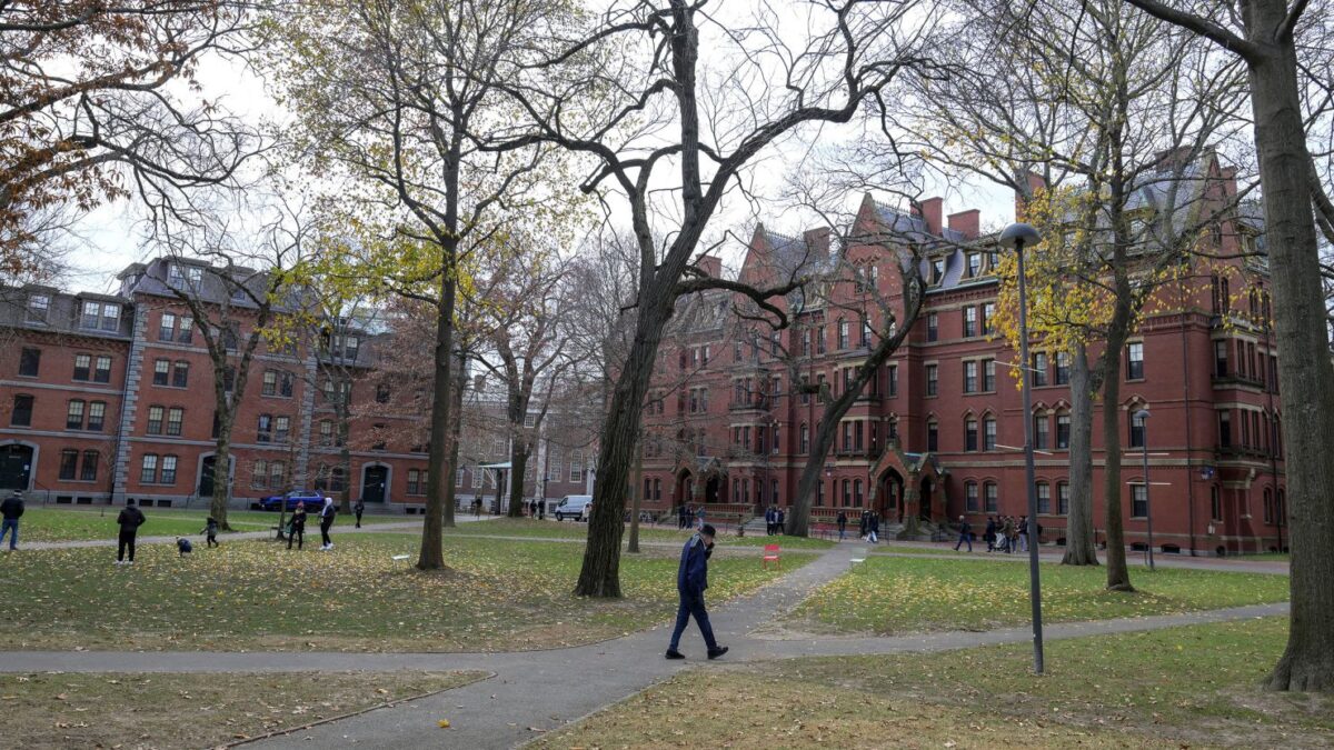 Harvard Üniversitesi