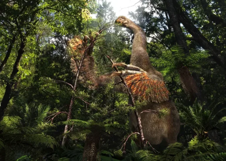 İki pençeli özel bir dinozor türü keşfedildi.