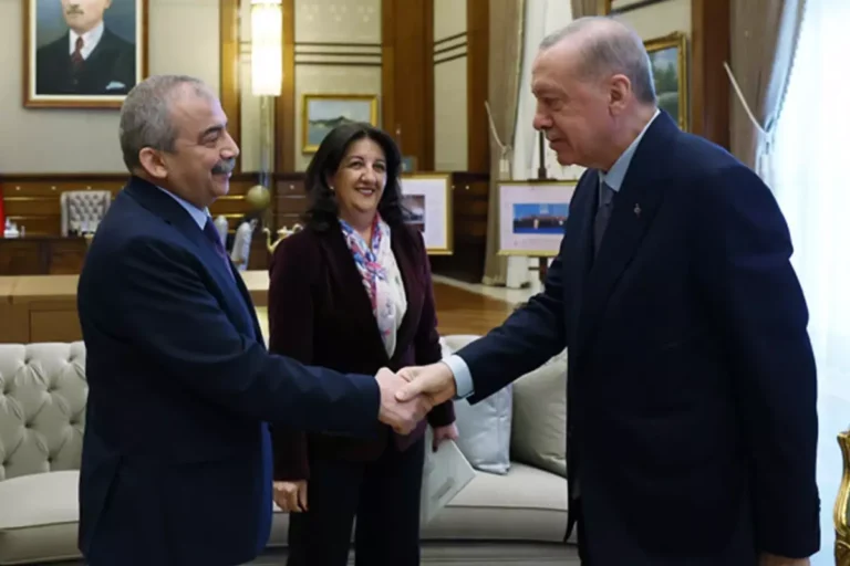 Sırrı Süreyya Önder ve Pervin Buldan, Erdoğan ile görüşmede.