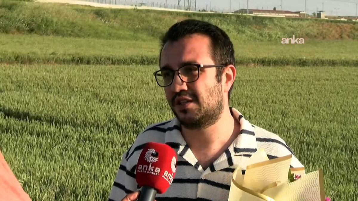 Yıldız Tar