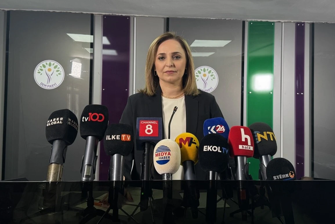 Ayşegül Doğan: "Silah DEM Parti’nin elinde değil"