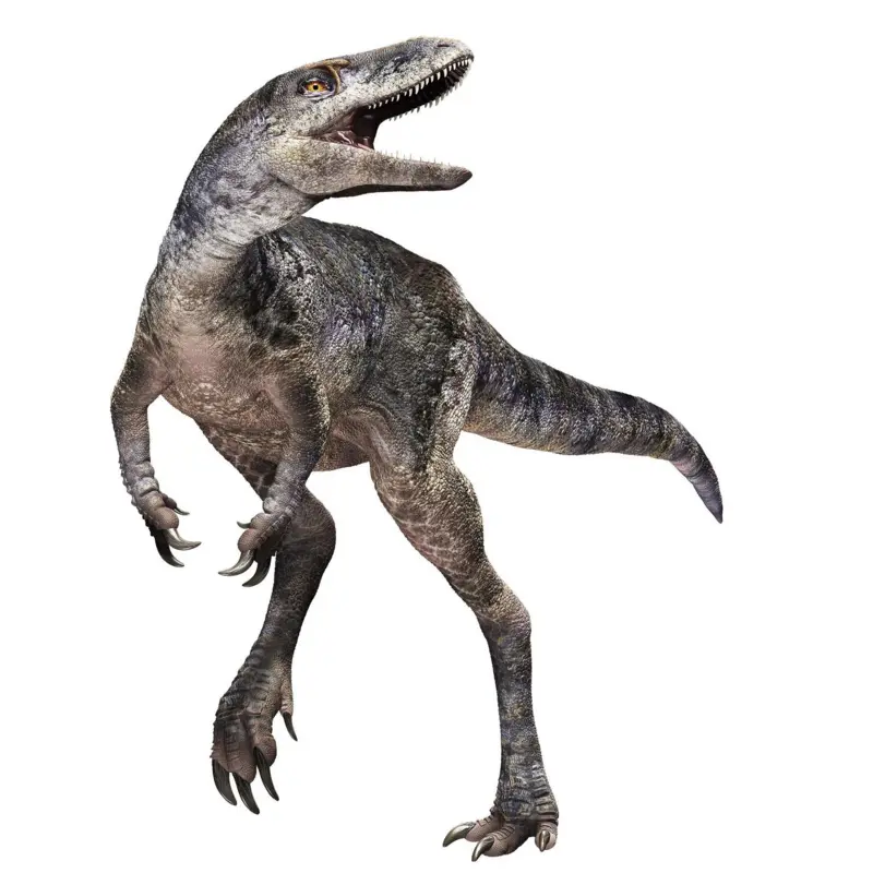 Khankhuuluu mongoliensis'in çizimi