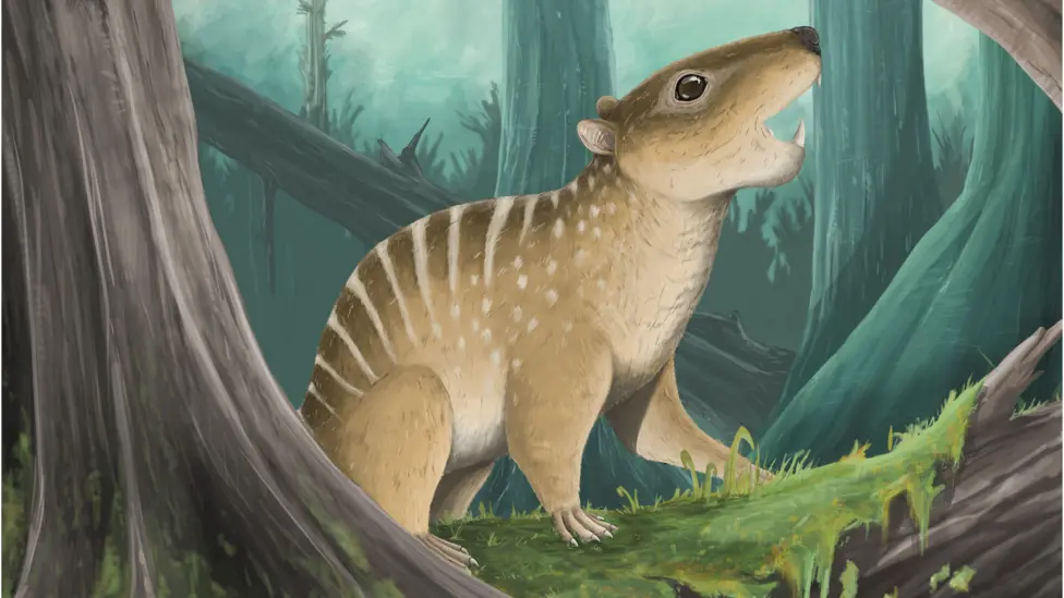 Yeni bir memeli türü keşfedildi | Dinozorlarla aynı dönemde yaşamış