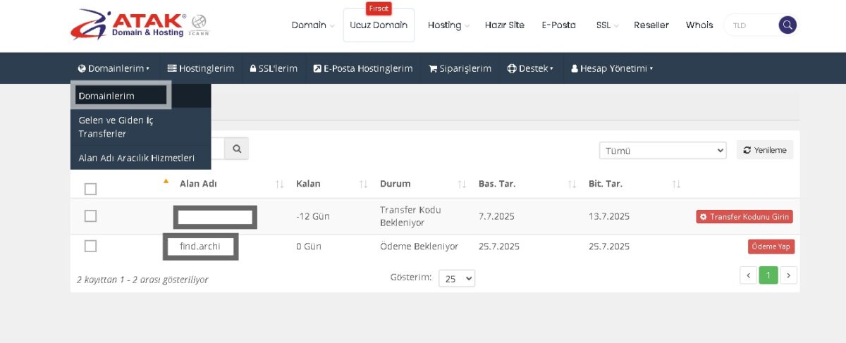 Domain transferi nasıl yapılır? Adım adım kapsamlı alan adı taşıma rehberi