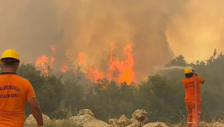 Antalya’nın üç ilçesinde orman yangını çıktı 