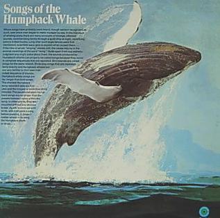 Kambur Balinanın Şarkıları (Songs of the Humpback Whale)