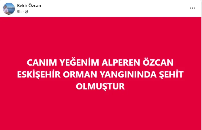 Eskişehir orman yangınında hayatını kaybedenlerin hikâyeleri