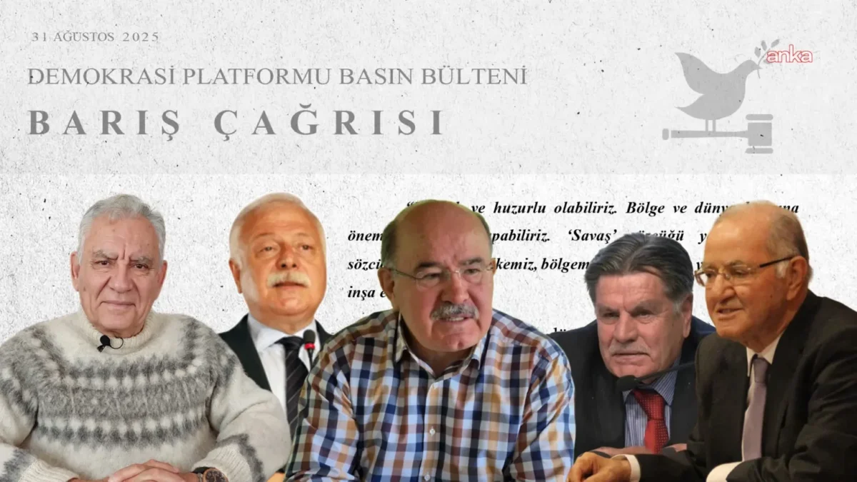 Demokrasi Platformu çağrı yaptı: "Devlet yurttaşlarıyla barışmalı"