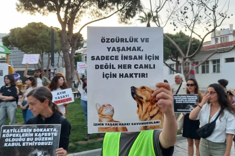 Gaziantep’te hayvan katliamı iddiası: "Bir günde 37 köpek öldürüldü"