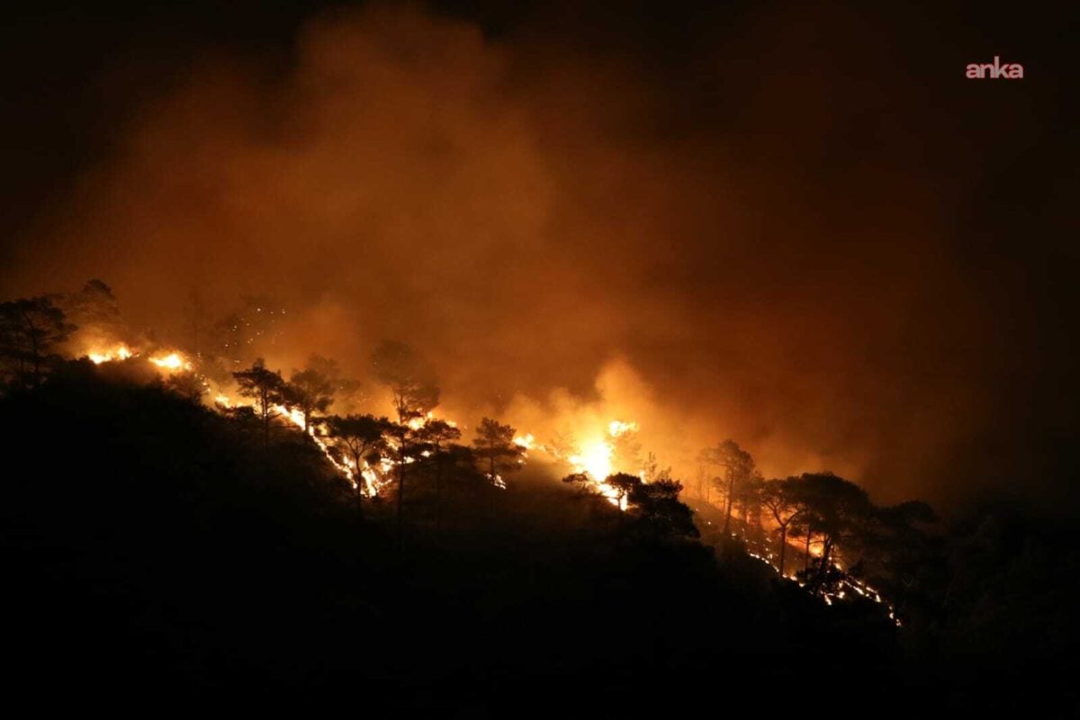 Muğla’da 7 orman yangını çıktı