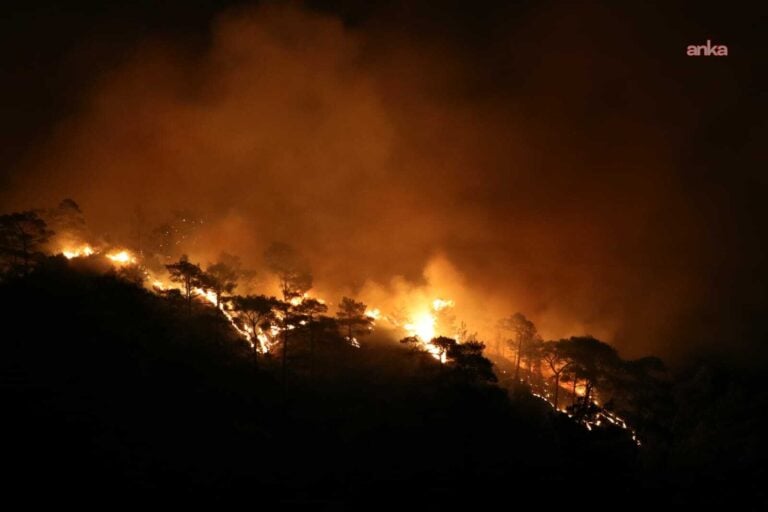 Muğla’da 7 orman yangını çıktı