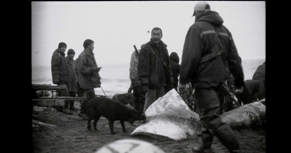 8. Foça Film Günleri 11 ülkeden 32 belgeseli ekranlara taşıyor