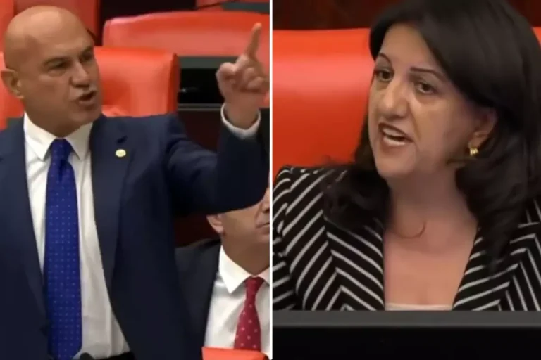 Turhan Çömez Pervin Buldan