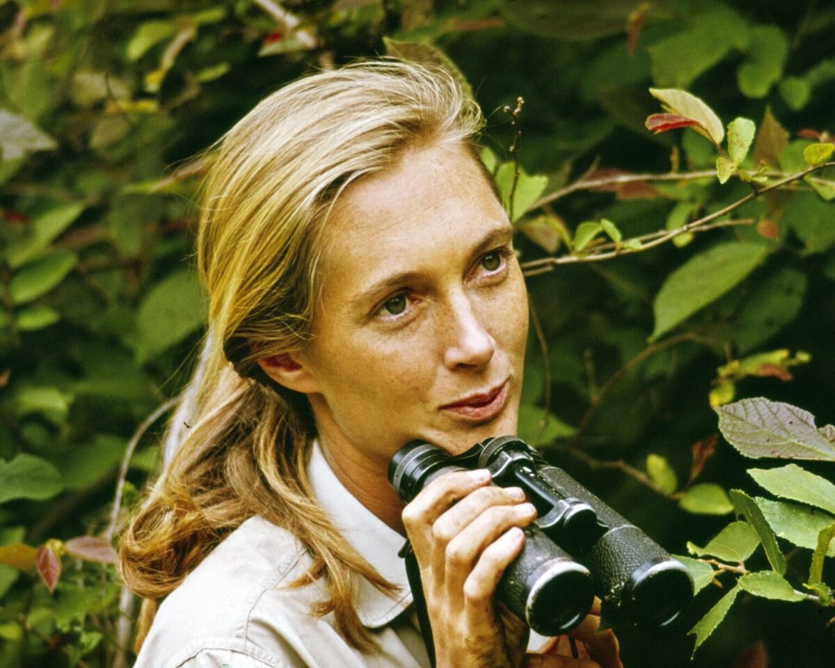 Jane Goodall