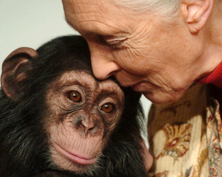 Jane Goodall