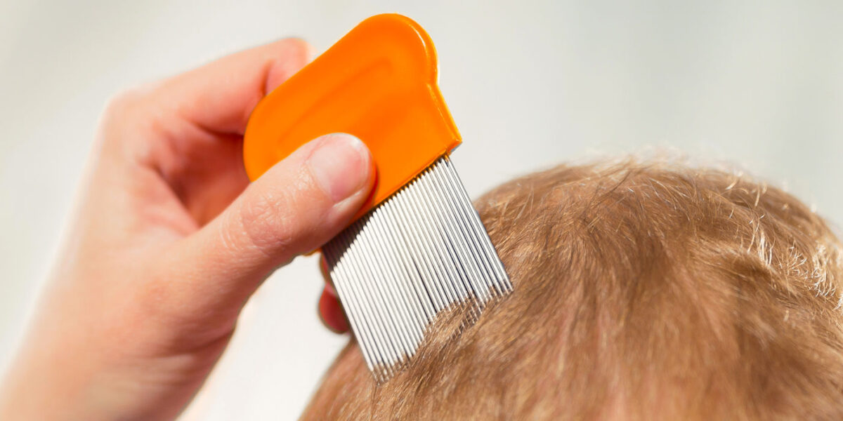 Mahallenin bitleri ve İslamcı heretik avı