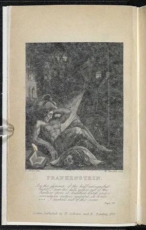 Shelley’nin feminist eleştirisinin silinişi.