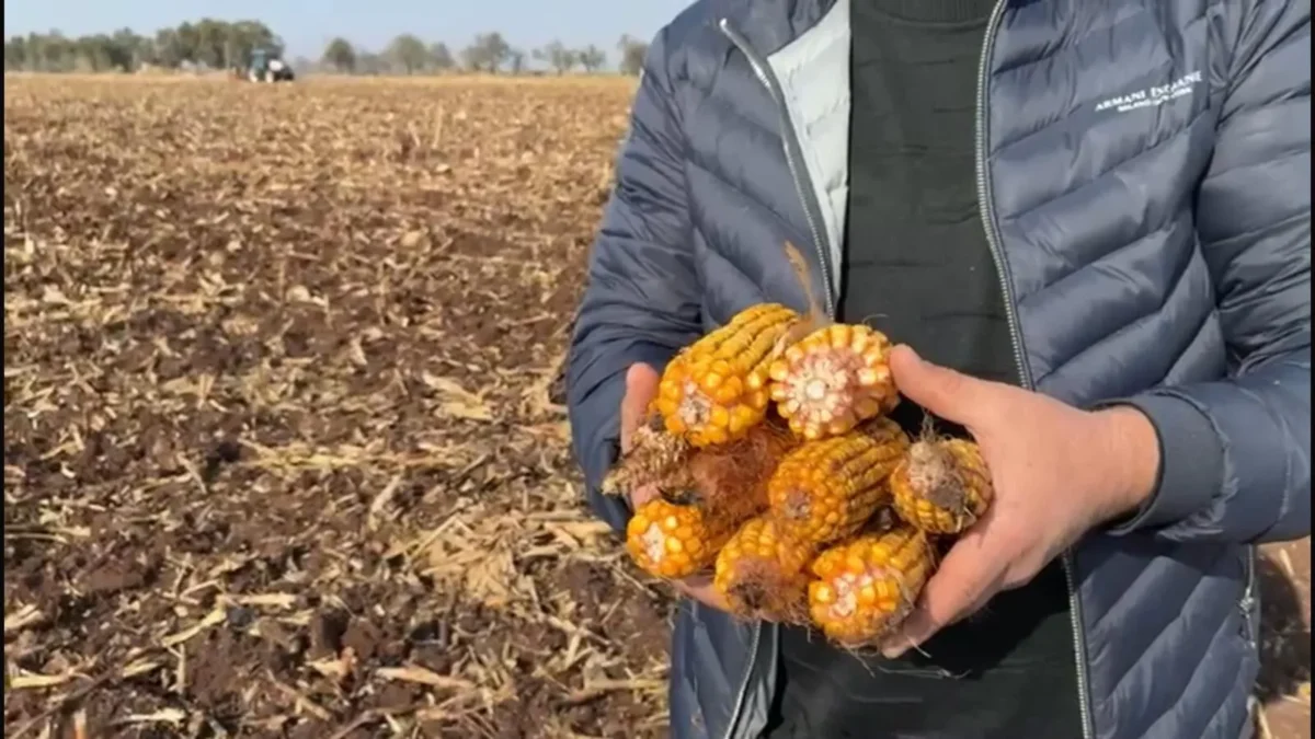 Çiftçiye sulama yapmadığı aylar için 835 bin liralık ceza geldi