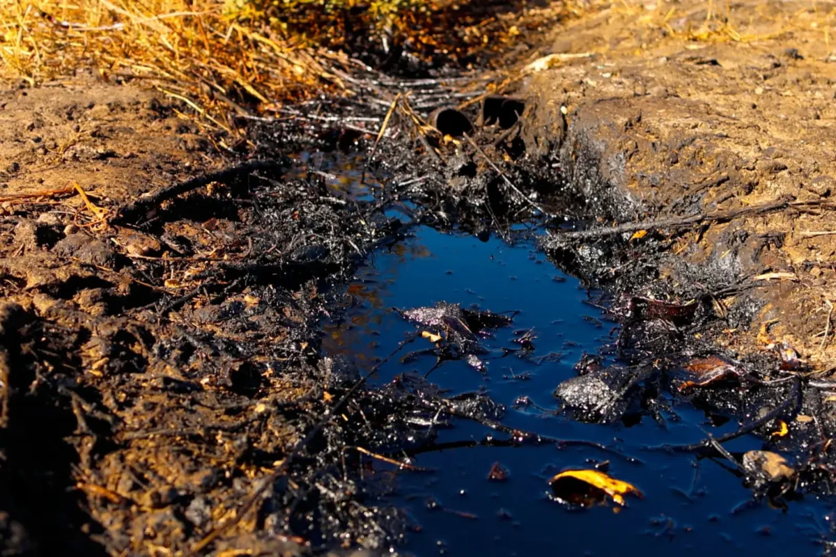 tarım alanları yok oluyor