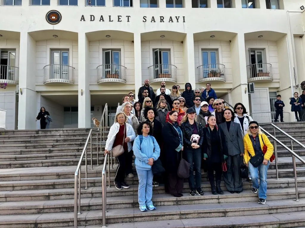 Bodrum'da köpek Çinko'yu arabasıyla öldüren sanığa zorla getirme kararı