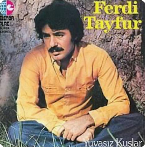 İsmail Fatih Ceylan yazdı: Olmasaydı derdimiz, söyler miydi Ferdi Abimiz?