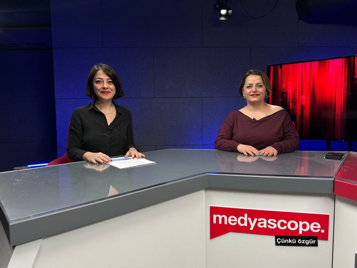 Yasa veteriner hizmetlerinde ne tür sorunlara yol açtı? (Video)