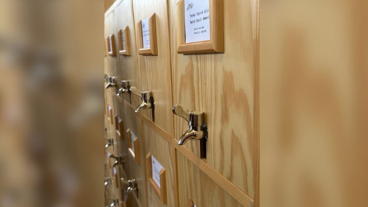 zeytinyağı kütüphanesi