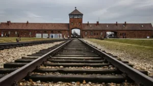 Auschwitz toplama kampı