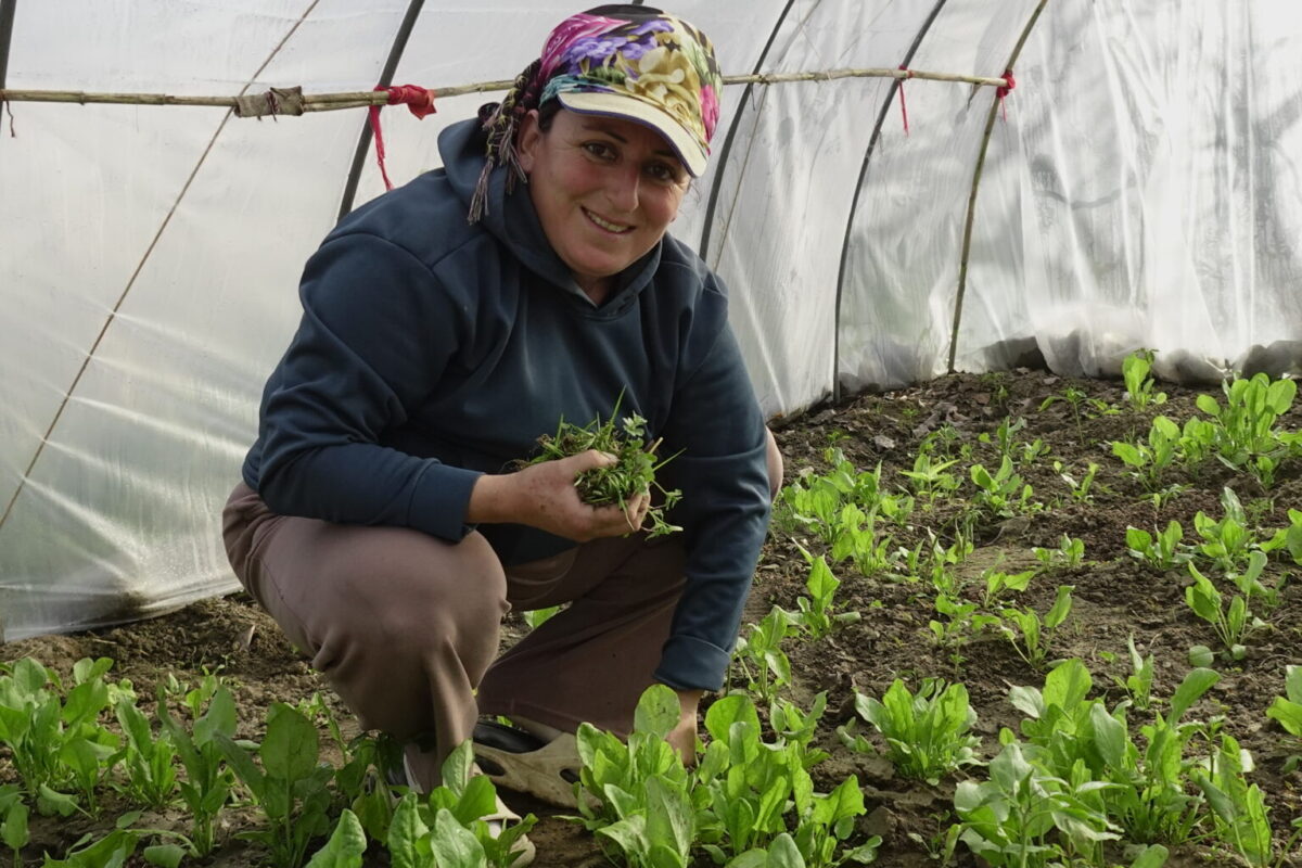 Hatay'da 8 Mart: Yağmurdan korkmadan uyumanın huzuru