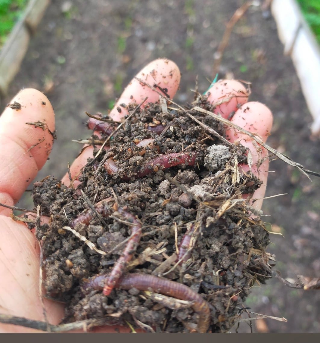 Yalova Tohum Takas Kulübü: Zehirsiz tarım için çiftçiden çiftçiye