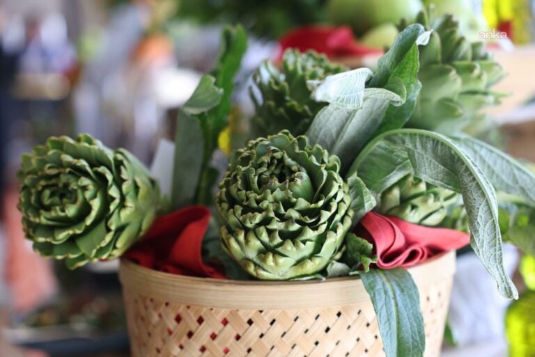 Alaçatı Ot Festivali için geri sayım başladı