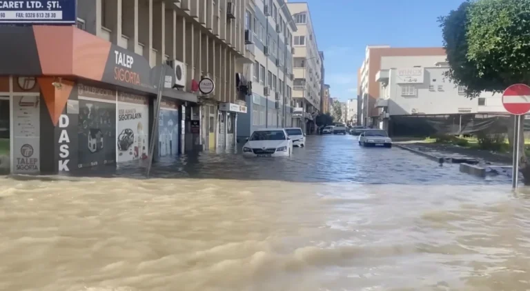 Depremde 80 cm gömülen