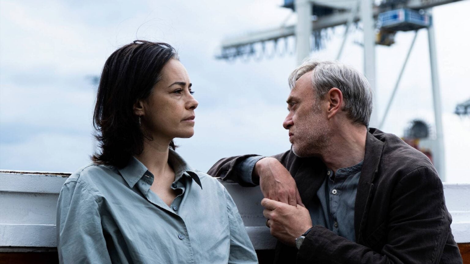 Barış Akademisyenleri: “Sarı Zarflar’daki kadar yalnız değildik”