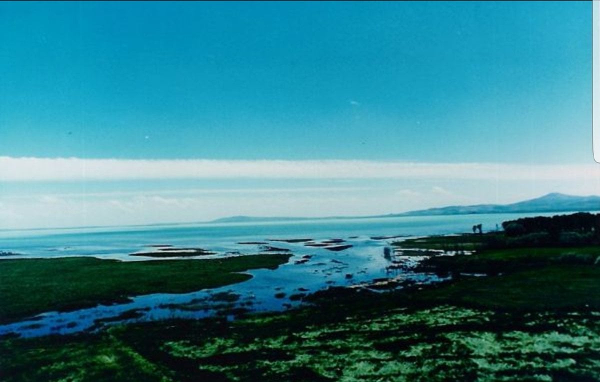 Cevat Düşün yazdı: Babailer isyanı