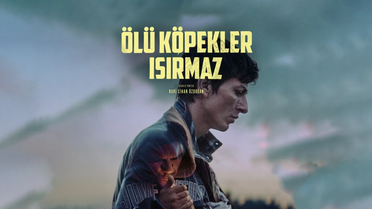 Mazlum Vesek yazdı | Çöp deryasında yıkanan hayatlar: Ölü Köpekler Isırmaz