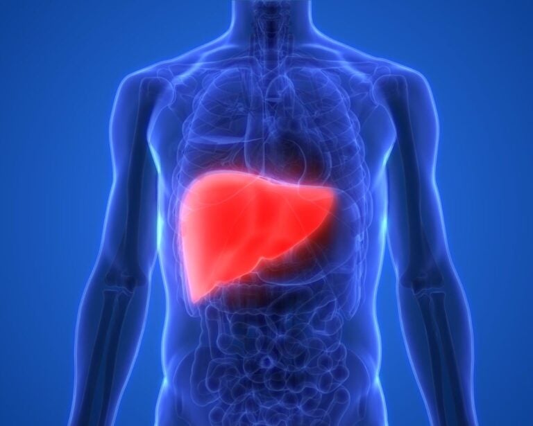 karaciğer