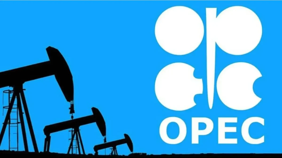 BAE 50 yılı aşkın üyeliğin ardından OPEC'ten ayrılıyor