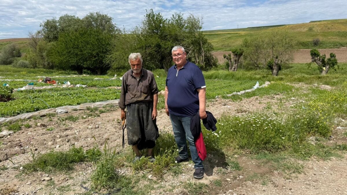 Adıyaman'da tütün üreticisi isyanda: Maliyet yüzde 200 arttı, fiyat yerinde saydı