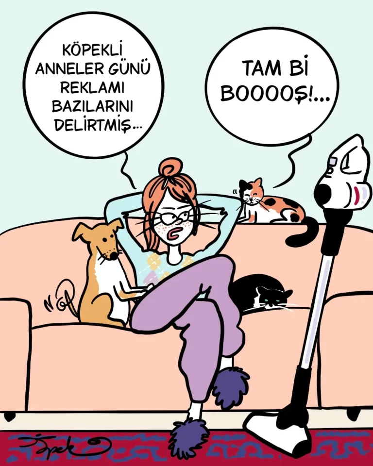 4 Mayıs haftasının karikatürü: "Tam bi booş."