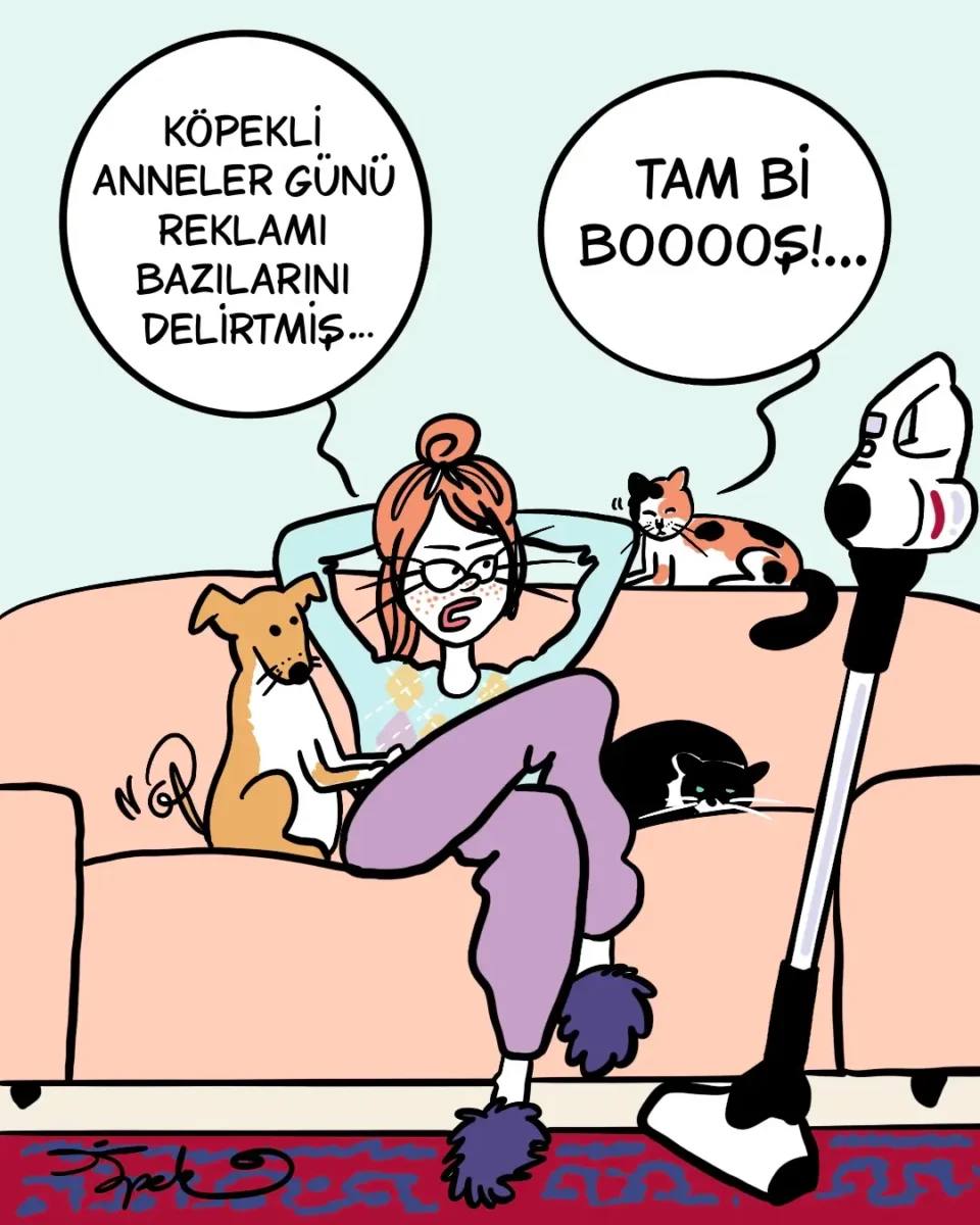 Tam bi booş